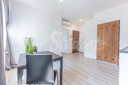 Newly bright reconstructed one bedroom apartment in city centre, Hradec Králové - OFFICE-11-pokoj-s-kk-b