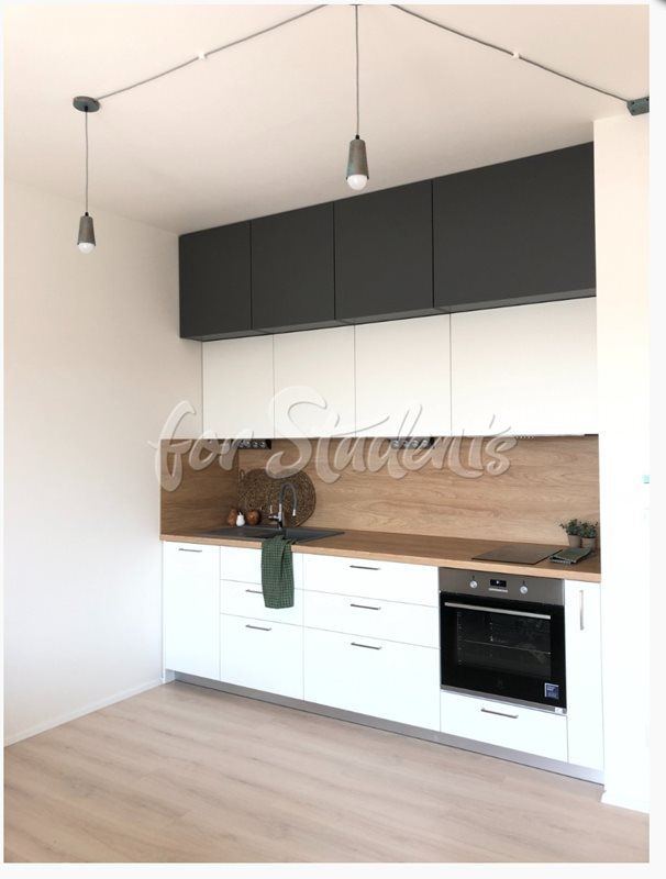 Modern equipped studio apartment on Jeronýmova Street, Brno  (file Screenshot_2021-08-15-11-25-05-047_com-google-android-googlequicksearchbox~3.jpg)