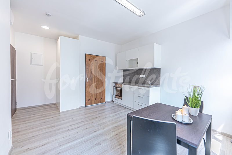 Newly bright reconstructed one bedroom apartment in city centre, Hradec Králové (file OFFICE-11-pokoj-s-kk-c.jpg)