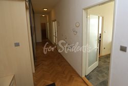 Spacious two bedroom apartment, Brno - CHO_4N2B9761