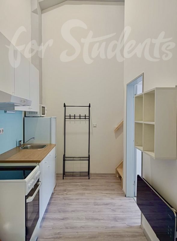 3 bedroom apartment in Brno-old town (file C5B6F12B-DFF0-4B87-9047-76E858039B42_1_201_a.jpg)