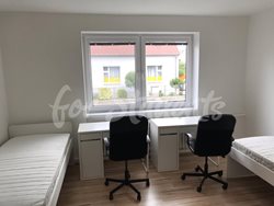 One room available in a modern vila with garden in Malšovice, Hradec Králové - 70809423_492848261497340_8049337572532420608_n