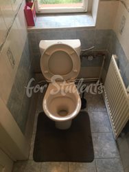 One room available in spacious two bedroom apartment with a terrace, Prague - toilet
