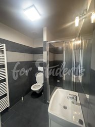 Bright and spacious one bedroom apartment on Bratislavská Street, Brno - 355028364_214507044868852_8574907987027286693_n