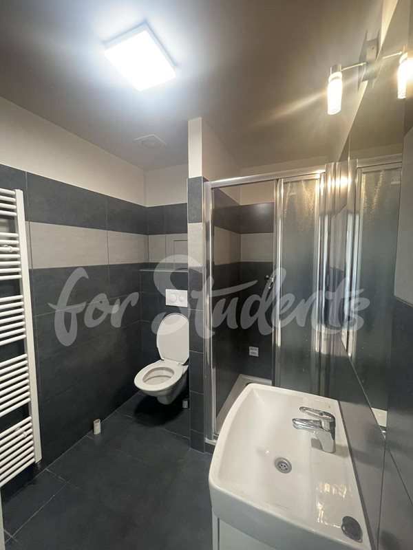 Bright and spacious one bedroom apartment on Bratislavská Street, Brno (file 355028364_214507044868852_8574907987027286693_n.jpg)
