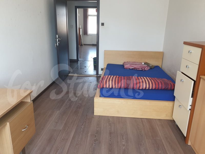 One bedroom available in a male three bedroom apartment in Divišova street, Hradec Králové (file 287535034_1267170927149742_1742631507341320630_n.jpg)