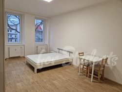Light and furnished 1+1 apartment, close to the city centre, Brno - 346257207_601787738558449_2581860149505420681_n