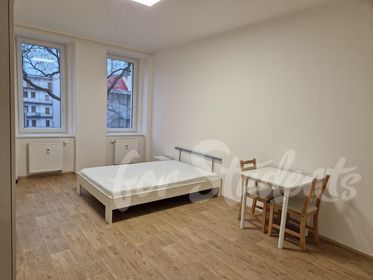Light and furnished 1+1 apartment, close to the city centre, Brno (file 346257207_601787738558449_2581860149505420681_n.jpg)