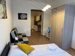 One bedroom apartment near the city center, Prague - IMG_0528