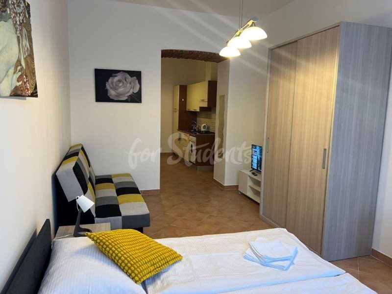 One bedroom apartment near the city center, Prague (file IMG_0528.jpg)