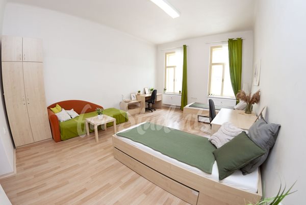 One bedroom available in a three bedroom apartment in the city center, Brno - RB10/25