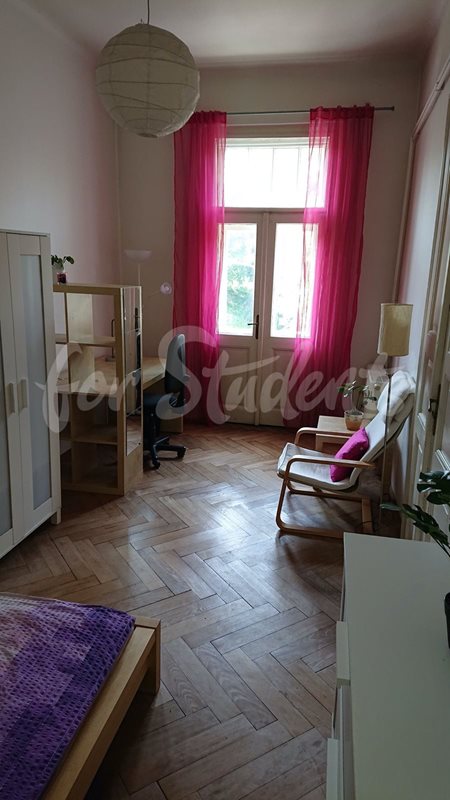 One spacious bedroom in four bedroom share apartment in Buzulucká street, Hradec Králové  (file bedroom2.jpg)