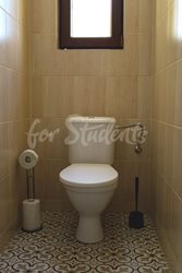 Four brand new room in a four bedroom female apartment in a student's house, Hradec Králové - 25