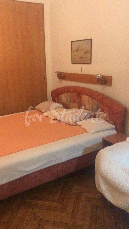 One room available in female shared apartment, 10min from city center, Prague (file IMG-20200124-WA0002.jpg)