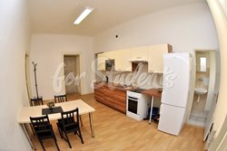 Place in a triple room, Brno-centre - kuchyn