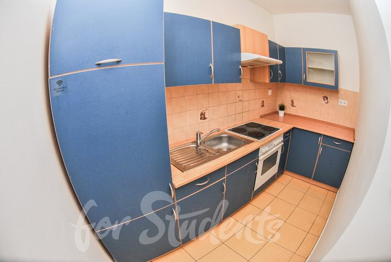 Place in partially walk through double room in a shared apartment, Brno  (file DSC_0153-1.jpg)