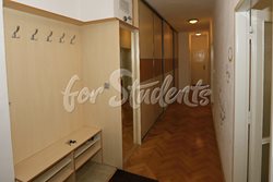 Newly reconstructed 2 bedroom apartment in Brno  - CHO_4N2B9686