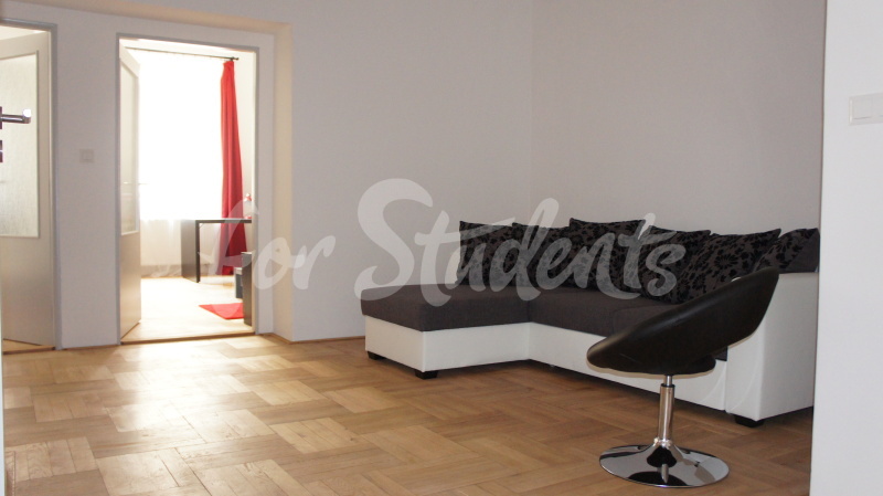 Modern three bedroom apartment in the Old Town, Hradec Králové (file DSC00290.jpg)