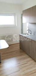 One bed in shared room available in a modern vila with garden in Malšovice, Hradec Králové - 51632697_2081764521913677_6321382060808208384_n