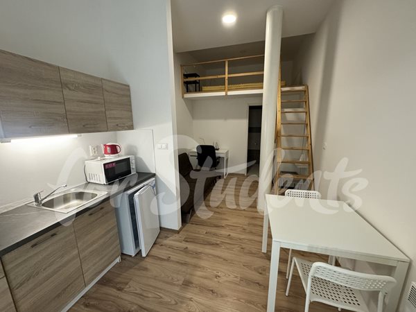 Modern studio apartment in Hybešova Street, Brno - B8/25
