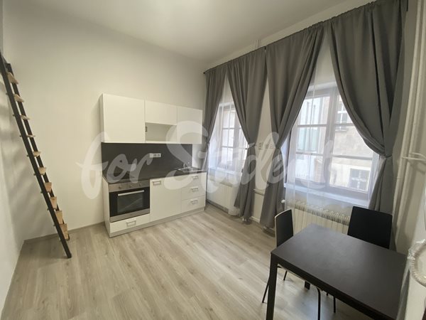 Newly reconstructed bright studio apartment in city centre, Hradec Králové - 1/24