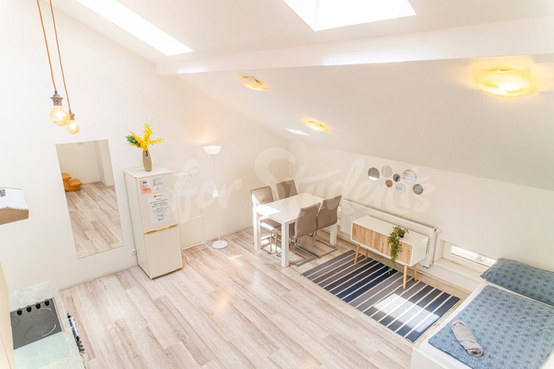 Two bedroom maisonette in the Brno city center (Veveří district) (file f5a8c9d4b4_Veveri-E3.jpg)