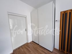Modern studio apartment close to the Faculty of Medicine, Prague - PHOTO-2025-10-03-16-47-02