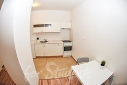 Studio flat for 3 people, close to Brno city centre - DSC_7735-1