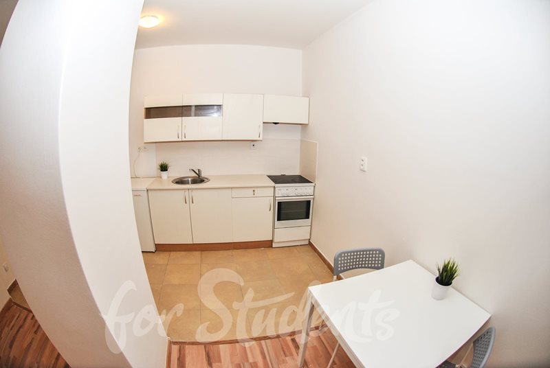 Studio flat for 3 people, close to Brno city centre (file DSC_7735-1.jpg)