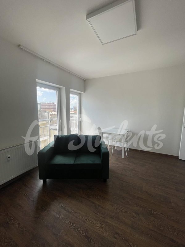 Bright and spacious one bedroom apartment on Bratislavská Street, Brno (file 355242032_214506451535578_4752714556423788086_n.jpg)