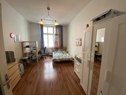 Spacious three bedroom apartment in the Old Town, Hradec Králové - IMG_8037