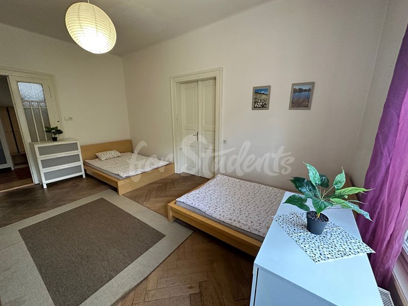 One room available in a four bedroom shared apartment on Buzulucká street, Hradec Králové (file IMG_2214.jpg)