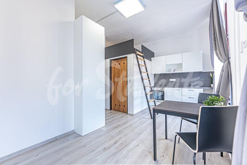 Newly bright reconstructed studio apartment in city centre, Hradec Králové (file OFFICE-06-pokoj-b.jpg)