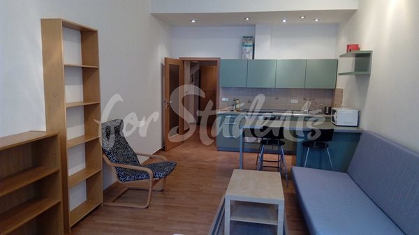 Spacious studio apartment in the Old Town, Hradec Králové - 29/23