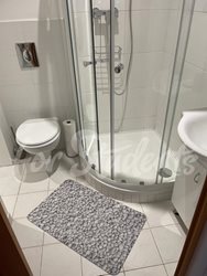 Modern studio apartment close to the Faculty of Medicine, Prague - PHOTO-2025-10-03-16-48-19-2