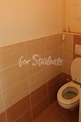 Newly reconstructed 2 bedroom apartment in Brno  - WC_4N2B9710