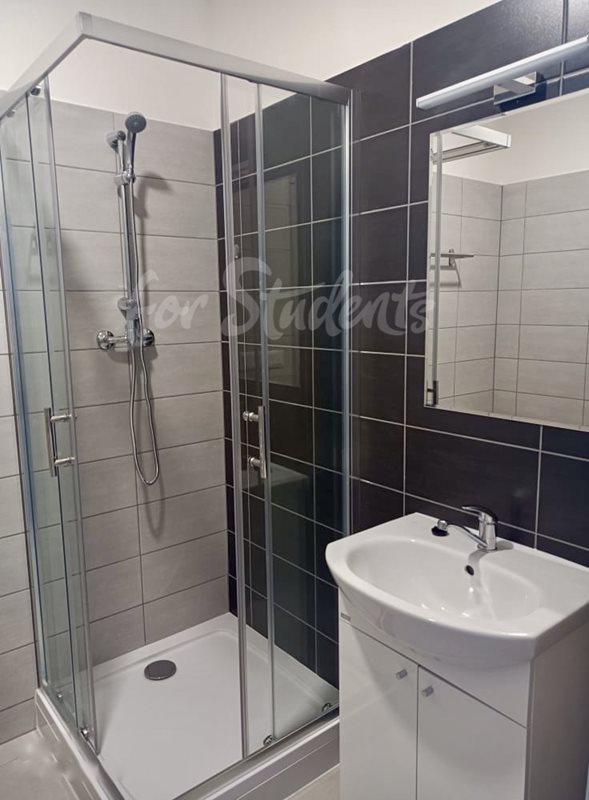 New 2 bedroom apartment in the Brno-old town  (file 382280EE-DD03-48D4-92A4-A53F324DF074_1_201_a.jpg)