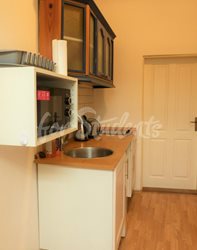 Studio apartment near the First Faculty of Medicine, Prague - P1010495-(2)