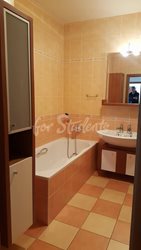 Four/Three bedroom apartment near the city center, Hradec Králové - 23192428_10155803264528550_1817021344_o