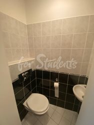 One bedroom available in spacious two bedroom apartment in New Town, Hradec Králové - WhatsApp-Image-2021-07-29-at-11-58-10-(5)