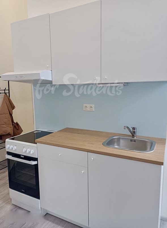 New 2 bedroom apartment in the Brno-old town  (file 0A0087EC-EF2C-4034-89BF-55912239ED66_1_201_a.jpg)