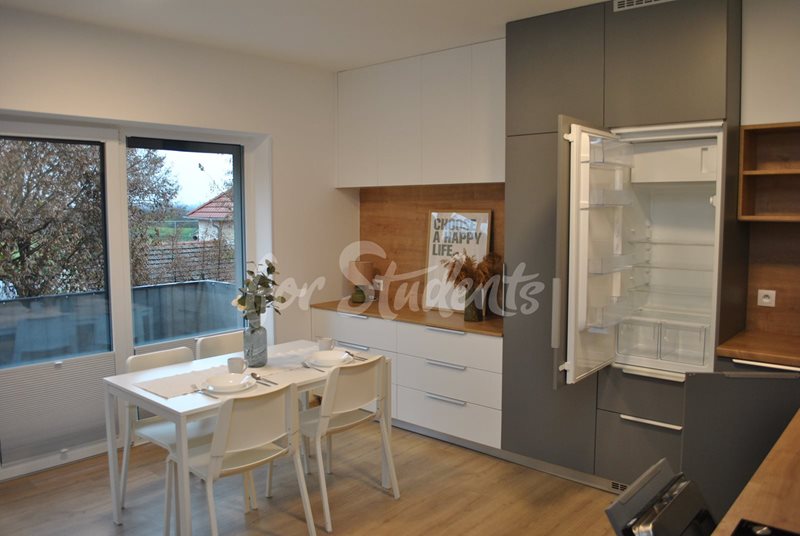 Cozy modern studio apartment, Brno (file DSC_0313.jpg)