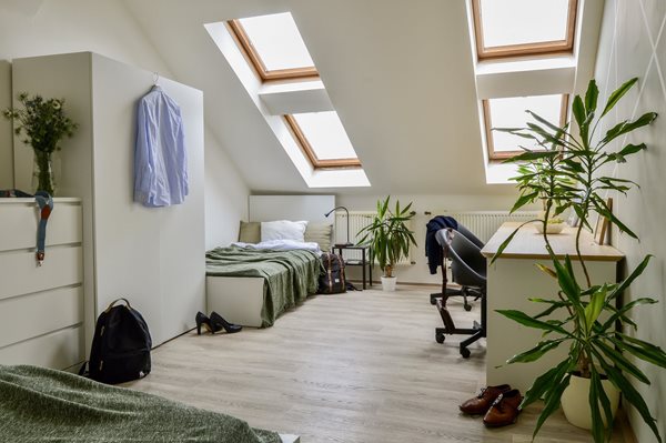 Lovely sunny loft-shared flat in the centre of Brno - RB07/23