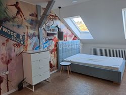 Four bedroom apartment in the city center, Prague - 26363516-b735-4c8e-aa5d-46f0568811d2