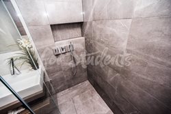 Luxurious one bedroom apartment in Brno-Lužánky - MIL_4369