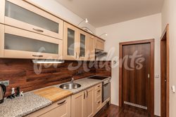Bright newly reconstructed one bedroom apartment close to city centre, Hradec Králové  - foto-009-(2)
