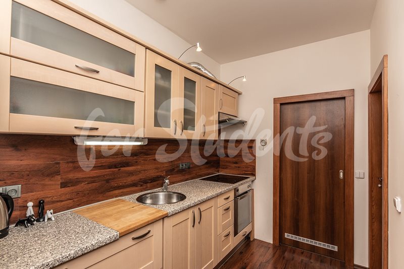 Bright newly reconstructed one bedroom apartment close to city centre, Hradec Králové  (file foto-009-(2).jpg)