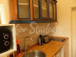 Studio apartment near the First Faculty of Medicine, Prague - P1010496
