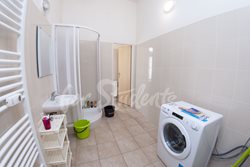 One bedroom available in a three bedroom apartment in the city center, Brno - DSC_0537