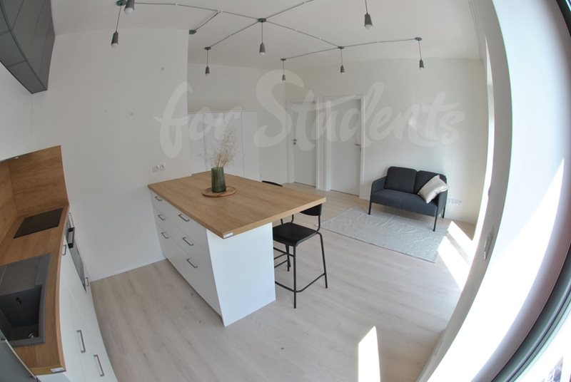 Double room in bright modern new apartment close to Brno City centre (file SC_0928.jpg)
